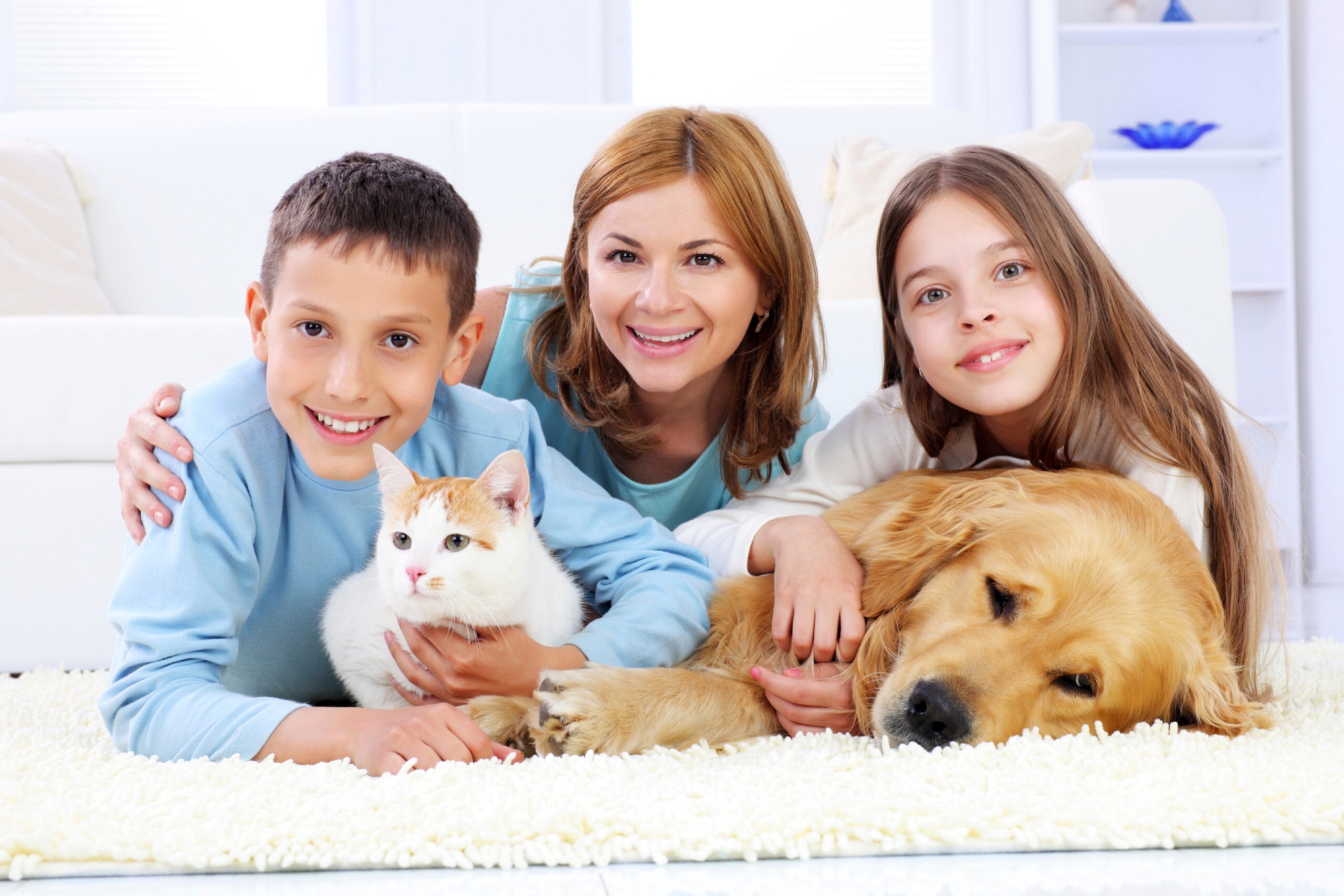 Oral Care at Home for Pets