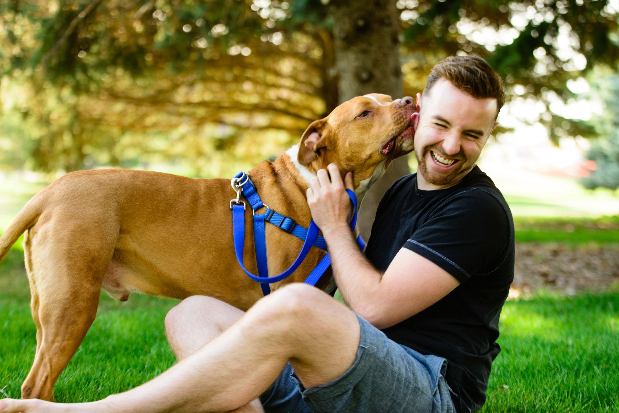 Master Leash Training: A Guide for Pups and Their Owners