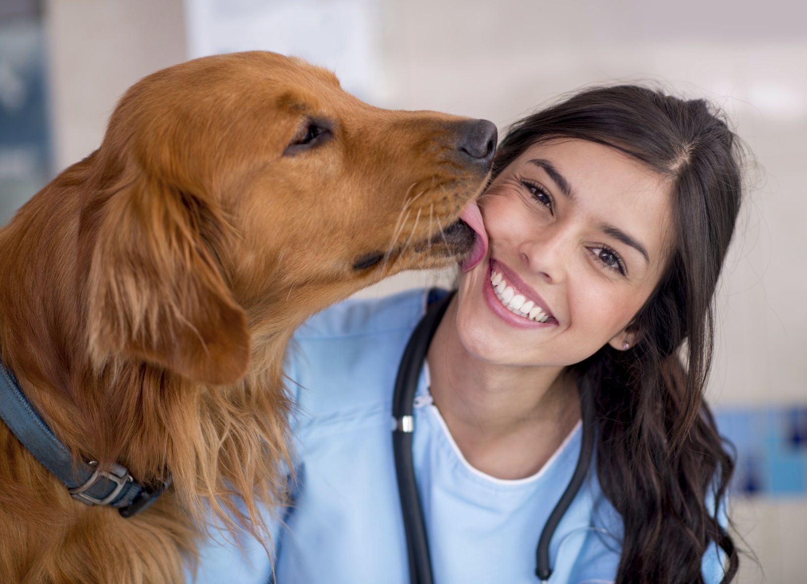 Easy Ways to Give Oral Care to Your Pets at Home: Dog, Cat and Pet