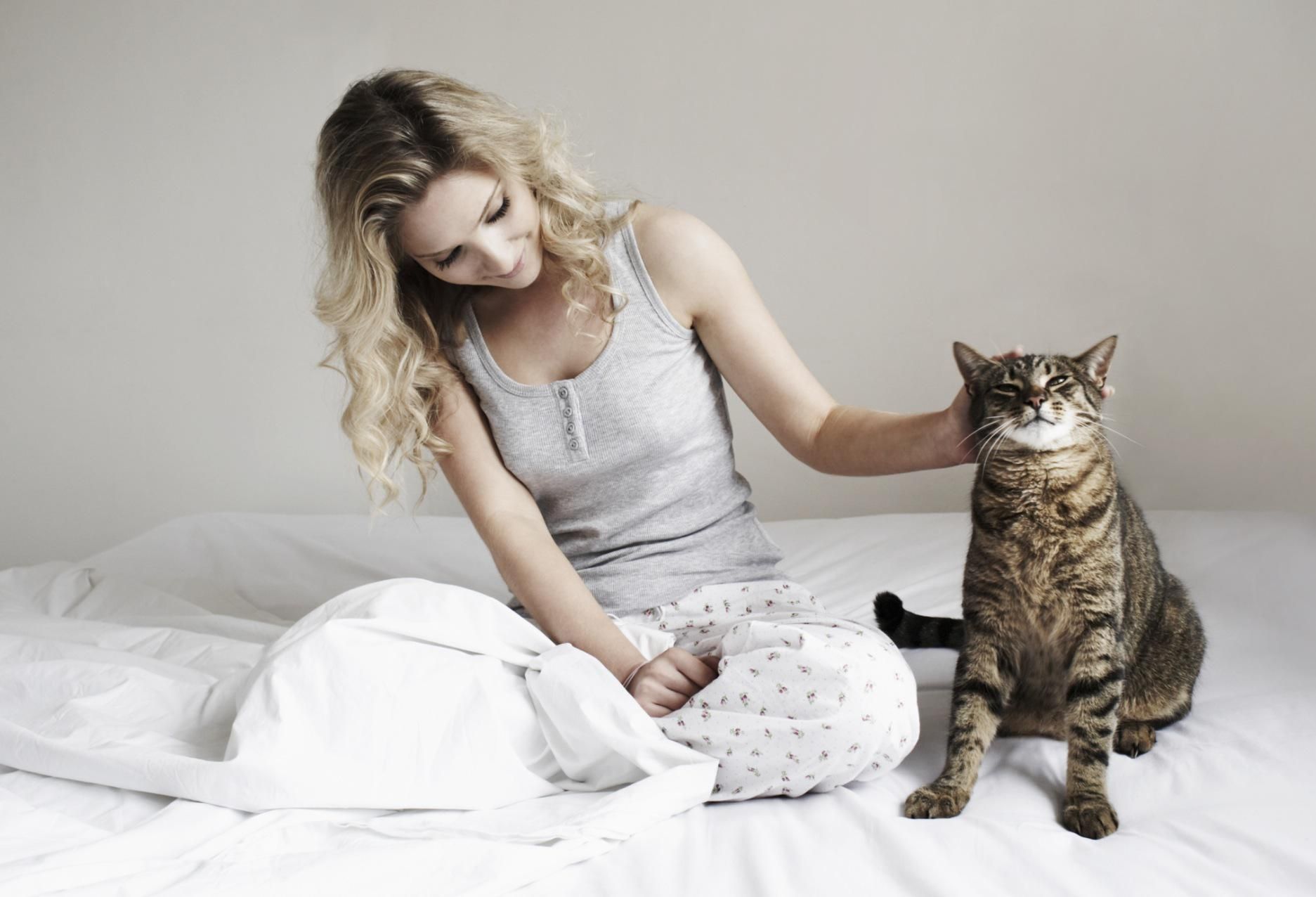 10 Proven Cat Training Techniques to Tame Your Feline