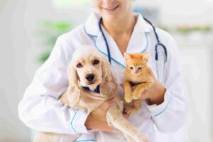 Hospice Care for Pets cost