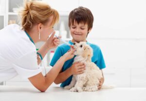 Nutritional Counseling for Pets toronto